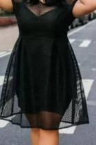 Ольга, 8 953 293-28-66